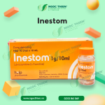 Inestom