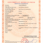Thuốc cầm máu Toxaxine  Inj.