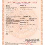 Thuốc kháng sinh Pidisai Inj.