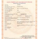 Thuốc điều trị tuần hoàn máu não Letrofam