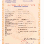 Thuốc giảm đau, chống viêm Daitos Inj.